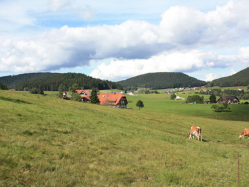 Sulzbachtal nature preserve