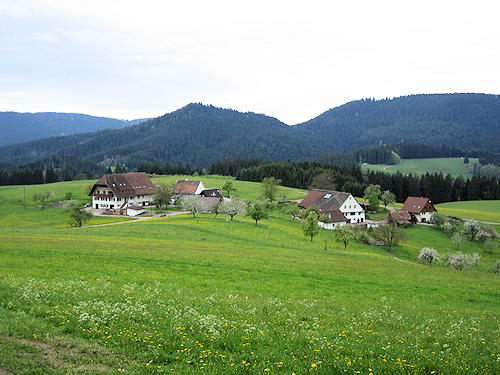 landscape near Schenkenzell
