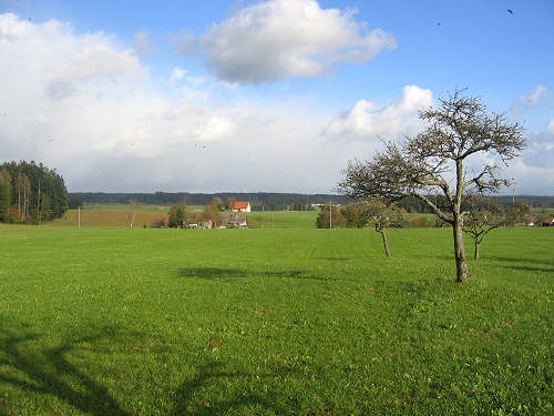Plateau near Aichhalden-Rötenberg