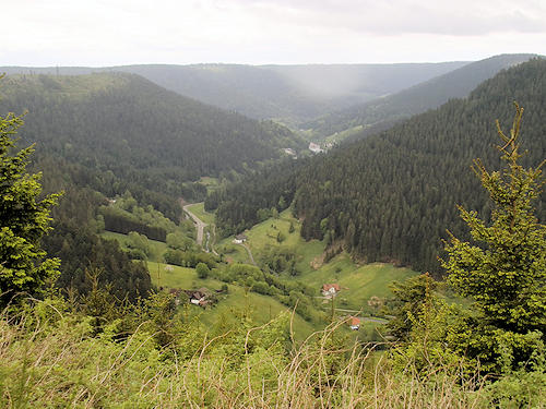 View in the Wolf valley
