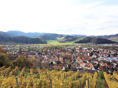 View on Gengenbach