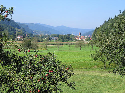 View on Haslach