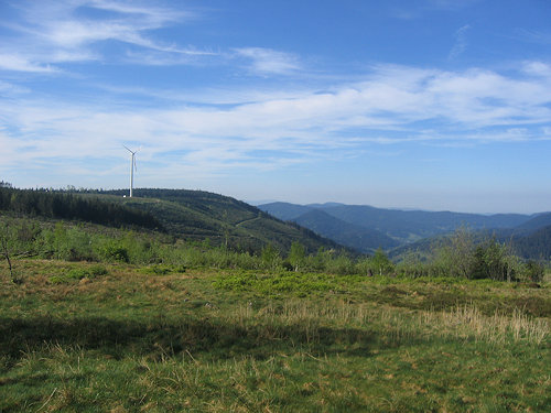 View near Alexanderschanze