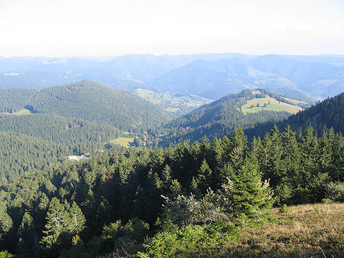 Blick direction Wiese valley