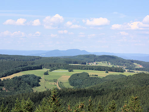 View on the Black Forest