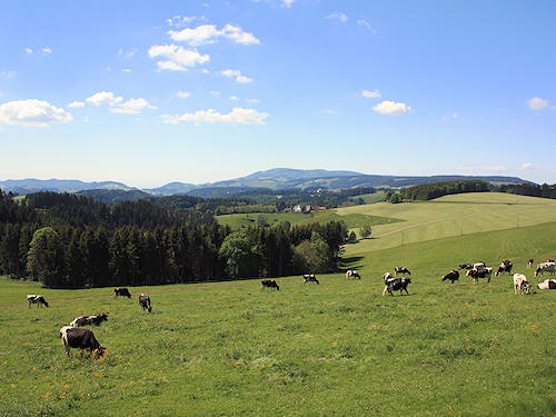 View to St. Märgen