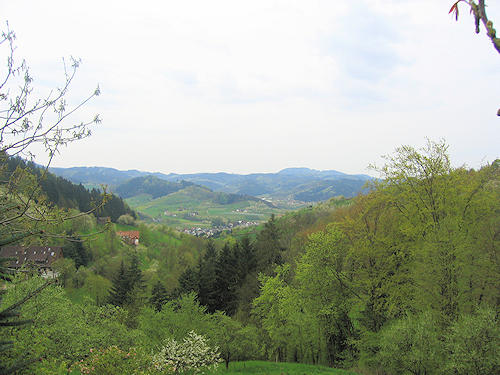 View on Lautenbach