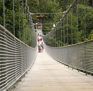 adventure rope bridge