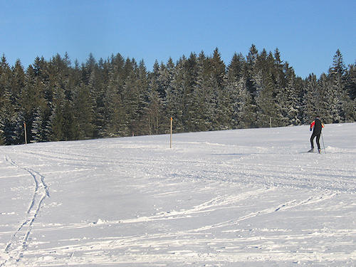 cross-country skiing trail