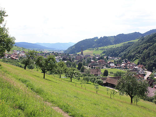 View on Oberharmersbach