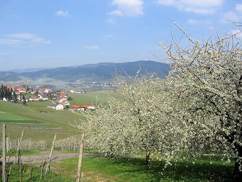 View on Oberkirch in spring