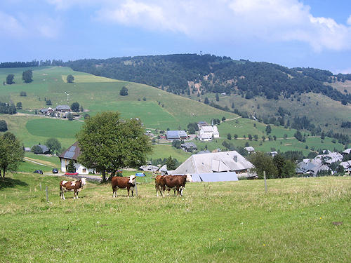View on Hofsgrund to Schauinsland