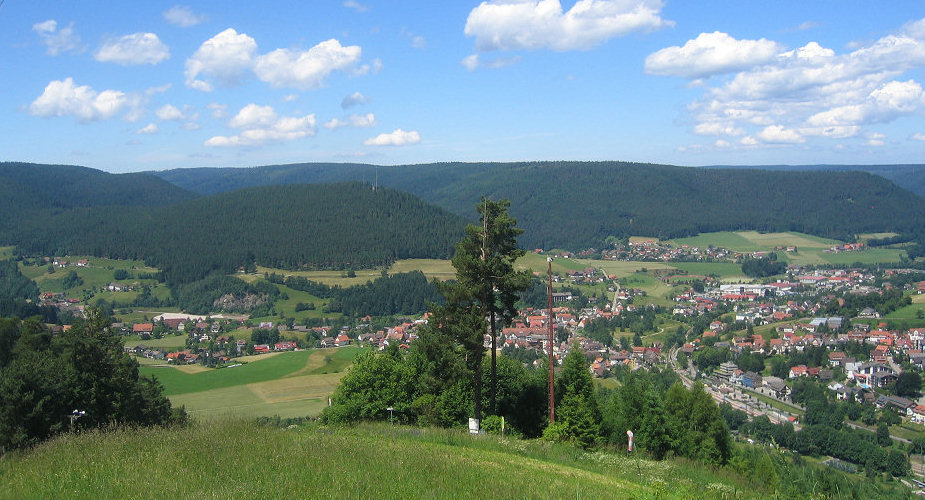 View of Baiersbronn