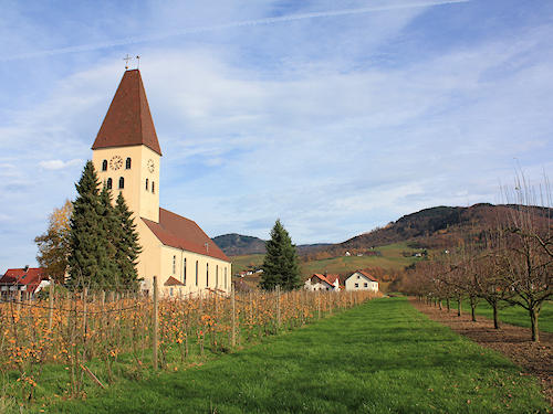 Obersasbach amidst the vineyards