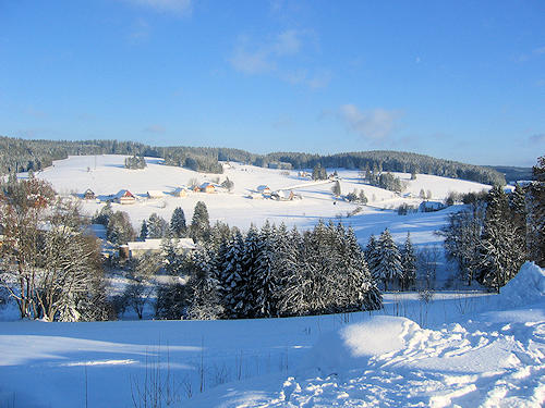 Schönwald in the Winter