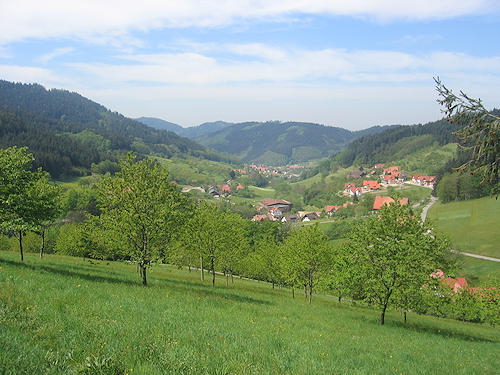 View on Seebach
