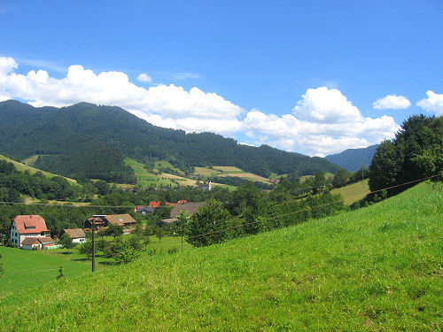 Simonswald valley