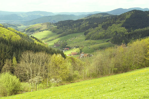 View on Welschensteinach