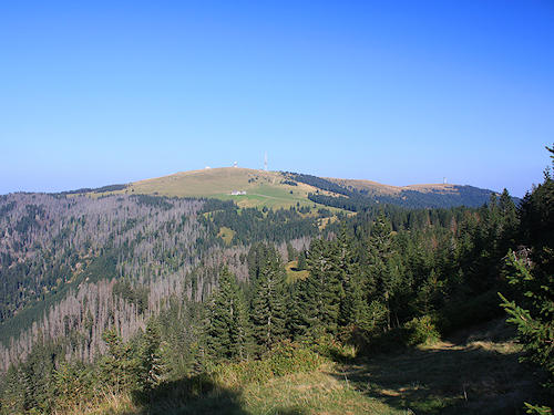 View on Todtnauberg