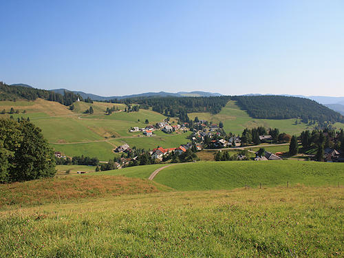 View on Todtnauberg