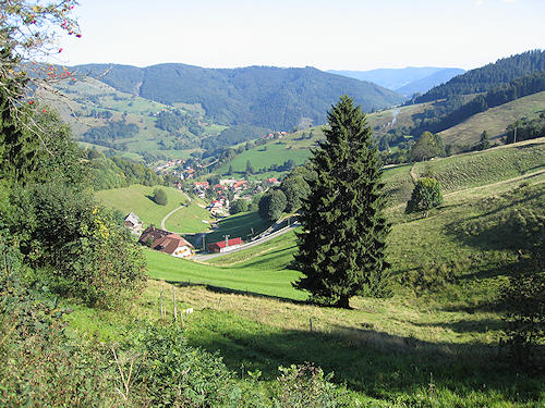 The Wiedenbach valley